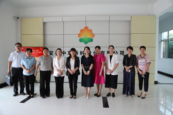 101651-976218.jpg 1_愛奇藝.jpg