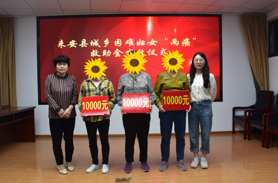 163204-147168.png image.png