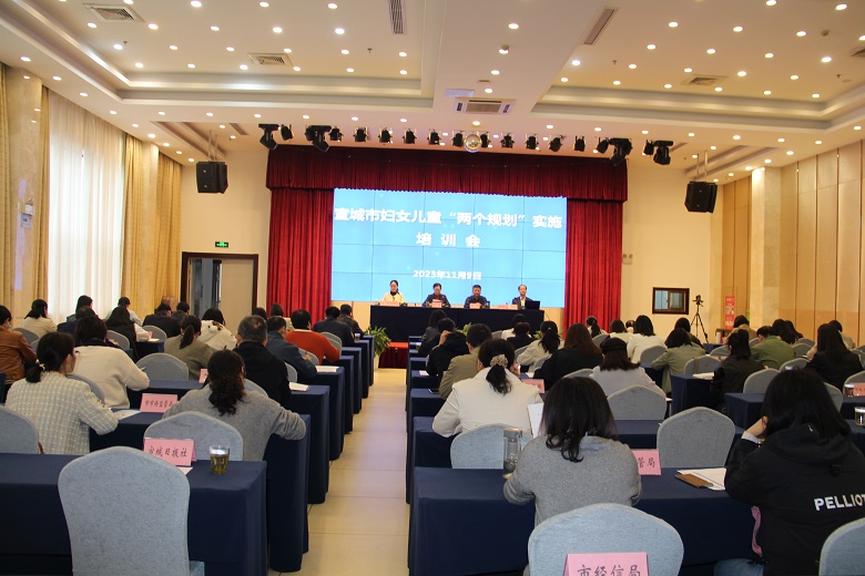 宣城市婦女兒童“兩個規劃”實施培訓會.JPG