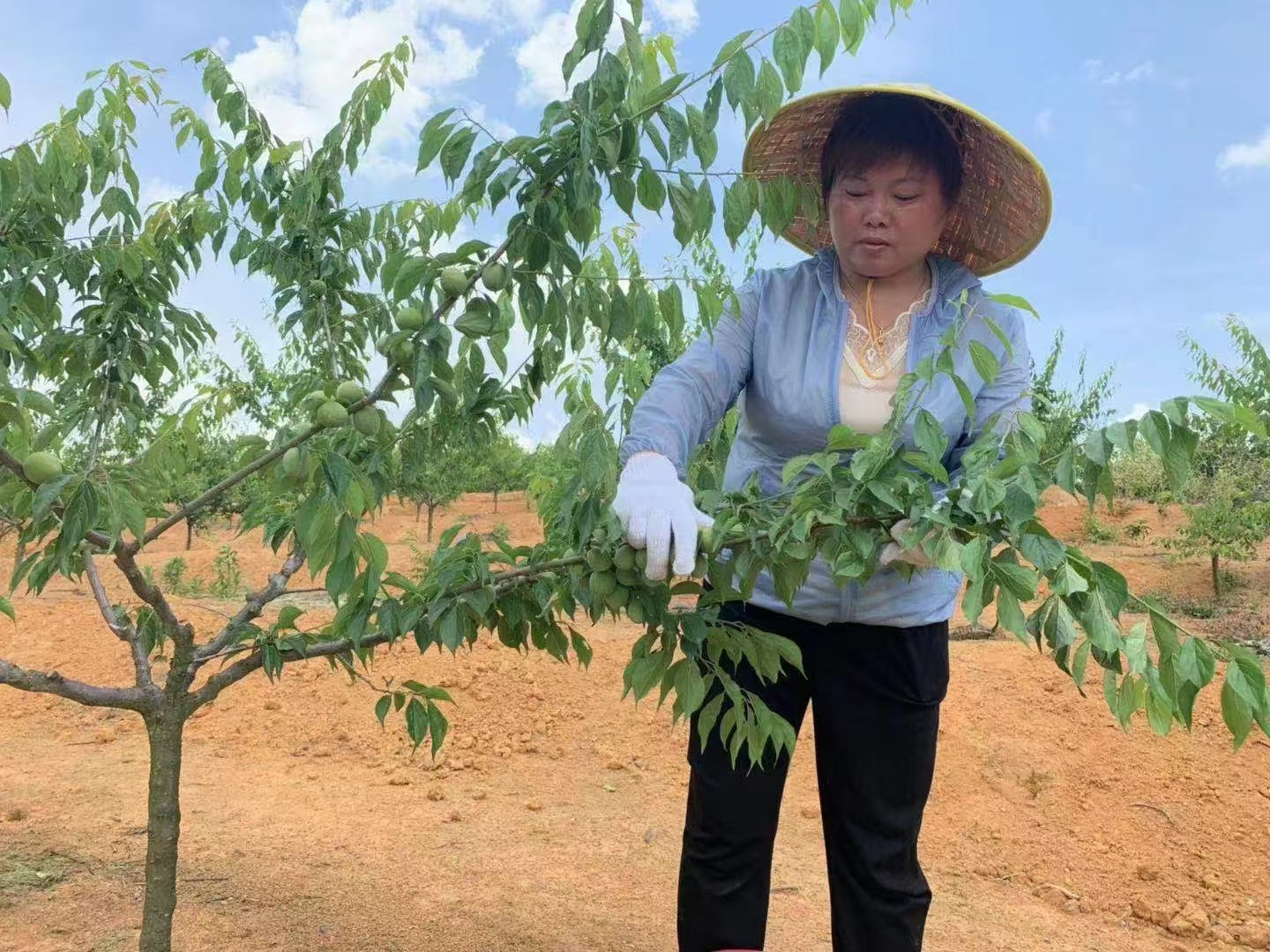 145656-578906.jpg 145656-578906.jpg